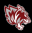 Dyer County High School Football