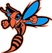 Dyer County High School Football