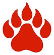 Dyer County High School Football
